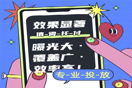 网络推广中的竞价广告：成功案例解析